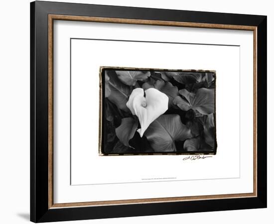Floral Elegance III-Laura Denardo-Framed Art Print