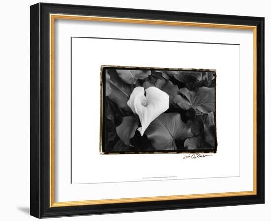 Floral Elegance III-Laura Denardo-Framed Art Print