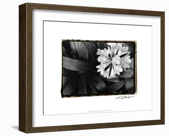 Floral Elegance IV-Laura Denardo-Framed Art Print