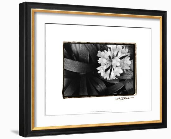 Floral Elegance IV-Laura Denardo-Framed Art Print