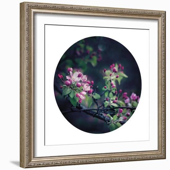 Floral Elegance - Sphere-Irene Suchocki-Framed Giclee Print