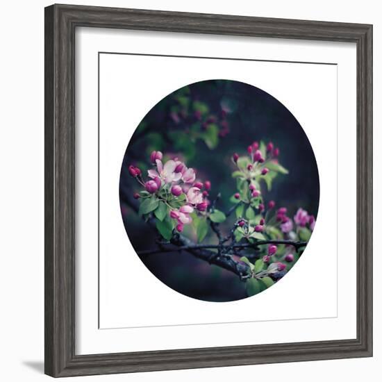 Floral Elegance - Sphere-Irene Suchocki-Framed Giclee Print