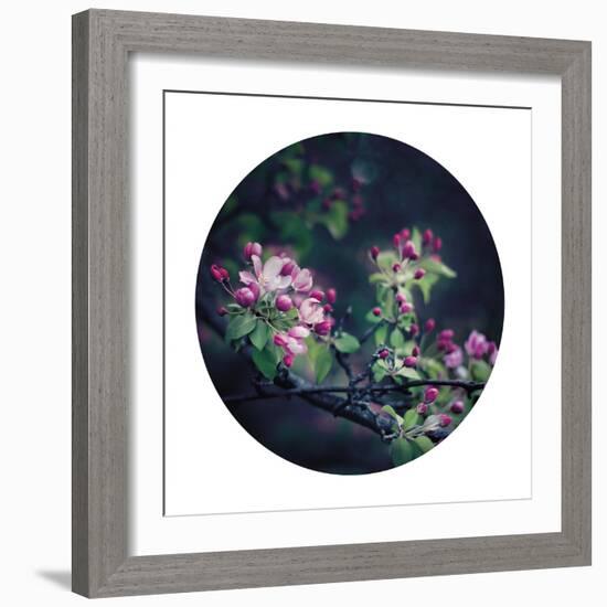 Floral Elegance - Sphere-Irene Suchocki-Framed Giclee Print