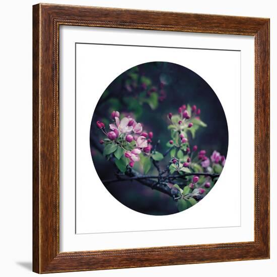 Floral Elegance - Sphere-Irene Suchocki-Framed Giclee Print