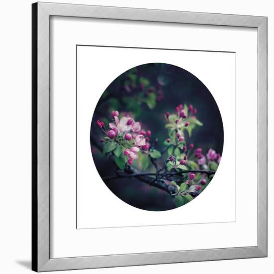 Floral Elegance - Sphere-Irene Suchocki-Framed Giclee Print