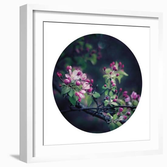 Floral Elegance - Sphere-Irene Suchocki-Framed Giclee Print