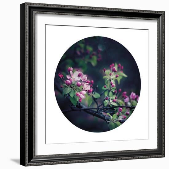 Floral Elegance - Sphere-Irene Suchocki-Framed Giclee Print