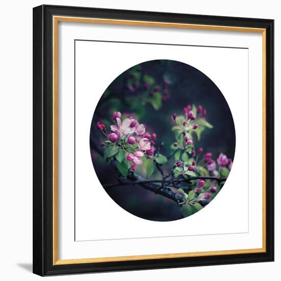 Floral Elegance - Sphere-Irene Suchocki-Framed Giclee Print