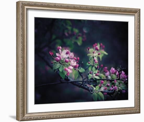 Floral Elegance-Irene Suchocki-Framed Giclee Print