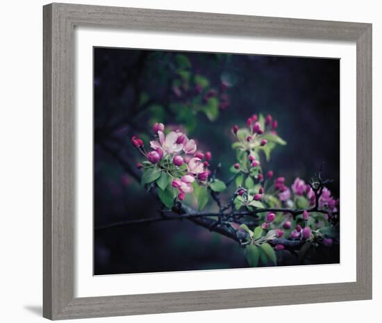 Floral Elegance-Irene Suchocki-Framed Giclee Print