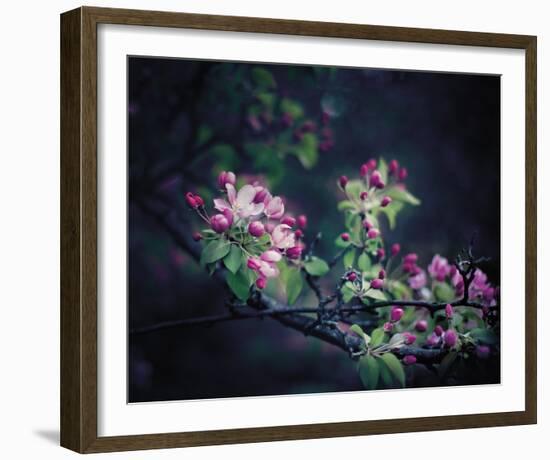 Floral Elegance-Irene Suchocki-Framed Giclee Print