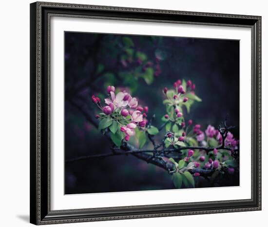 Floral Elegance-Irene Suchocki-Framed Giclee Print