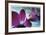 Floral Elements 11-Florence Delva-Framed Giclee Print