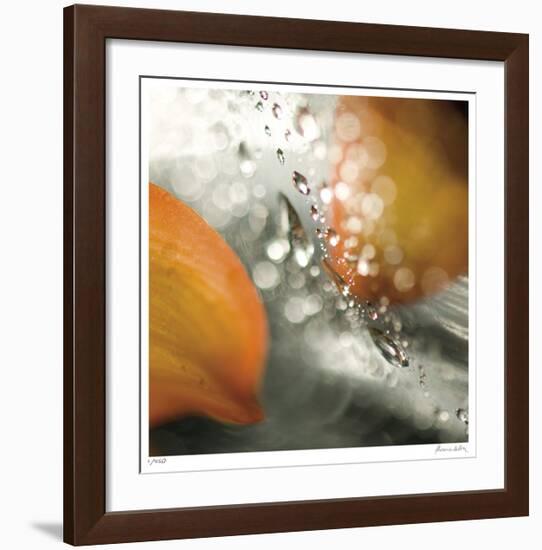 Floral Elements 15-Florence Delva-Framed Giclee Print