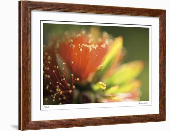 Floral Elements 1-Florence Delva-Framed Giclee Print