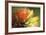 Floral Elements 1-Florence Delva-Framed Giclee Print