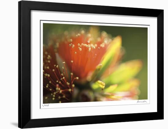 Floral Elements 1-Florence Delva-Framed Giclee Print