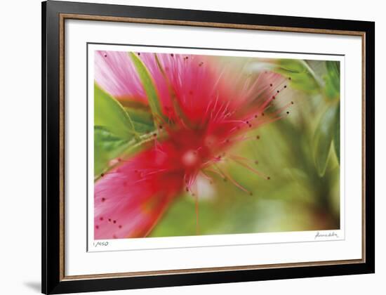 Floral Elements 2-Florence Delva-Framed Giclee Print