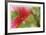 Floral Elements 2-Florence Delva-Framed Giclee Print