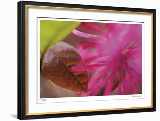 Floral Elements 4-Florence Delva-Framed Giclee Print