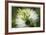 Floral Elements 5-Florence Delva-Framed Giclee Print