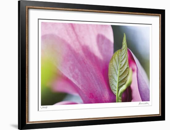 Floral Elements 6-Florence Delva-Framed Giclee Print