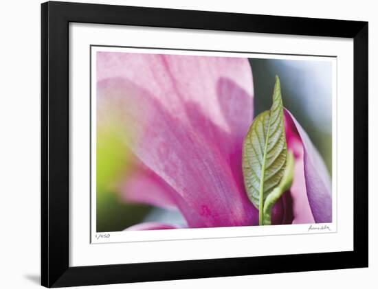 Floral Elements 6-Florence Delva-Framed Giclee Print