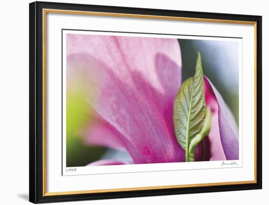 Floral Elements 6-Florence Delva-Framed Giclee Print