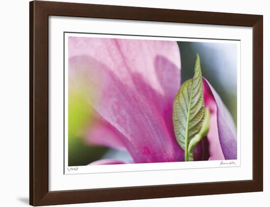 Floral Elements 6-Florence Delva-Framed Giclee Print