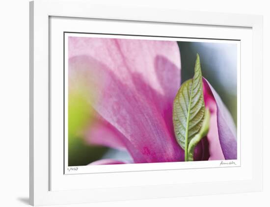 Floral Elements 6-Florence Delva-Framed Giclee Print