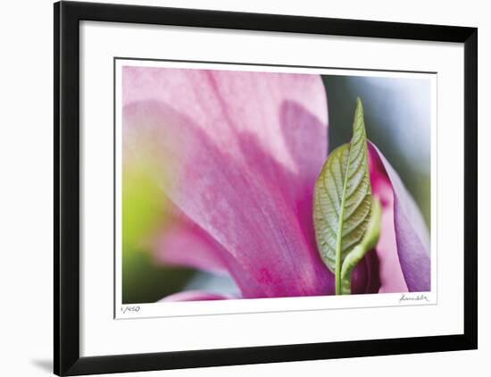 Floral Elements 6-Florence Delva-Framed Giclee Print