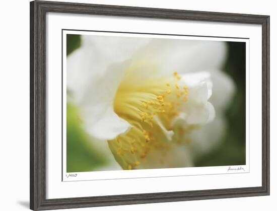 Floral Elements 7-Florence Delva-Framed Giclee Print