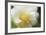 Floral Elements 7-Florence Delva-Framed Giclee Print