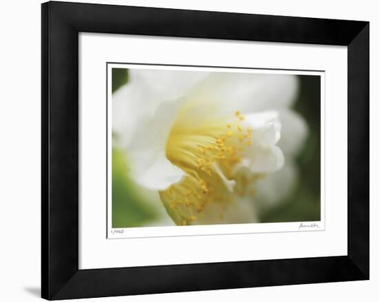 Floral Elements 7-Florence Delva-Framed Giclee Print