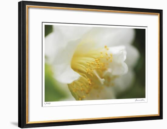 Floral Elements 7-Florence Delva-Framed Giclee Print