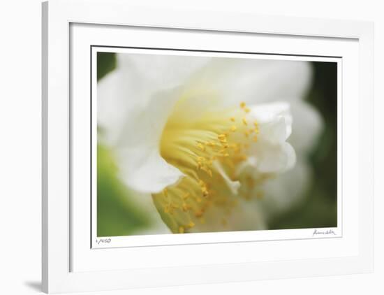 Floral Elements 7-Florence Delva-Framed Giclee Print