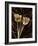 Floral Eloquence I-Ily Szilagyi-Framed Giclee Print