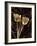 Floral Eloquence I-Ily Szilagyi-Framed Giclee Print