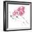 Floral Evermore-Eva Hjelte-Framed Giclee Print