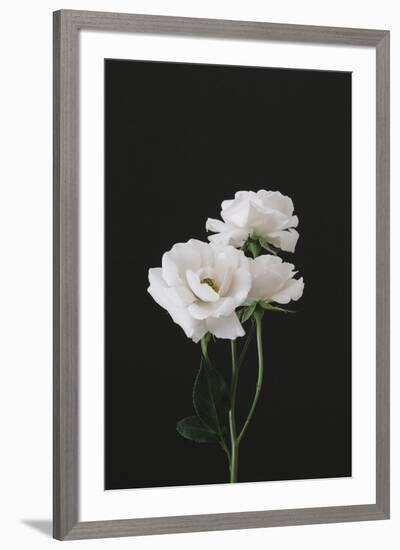 Floral Fable-Irene Suchocki-Framed Giclee Print