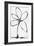 Floral Fancy IV-Joshua Schicker-Framed Giclee Print