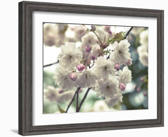 Floral Fancy-Assaf Frank-Framed Giclee Print