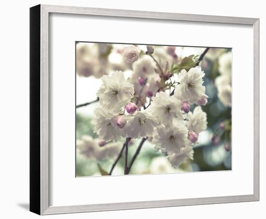 Floral Fancy-Assaf Frank-Framed Giclee Print