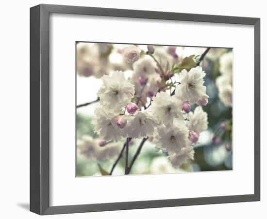 Floral Fancy-Assaf Frank-Framed Giclee Print