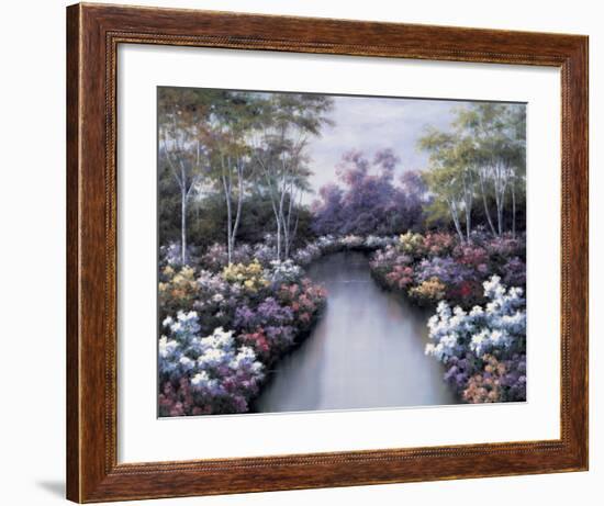 Floral Fantasy-Diane Romanello-Framed Art Print