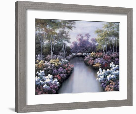 Floral Fantasy-Diane Romanello-Framed Art Print