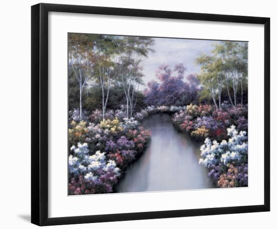 Floral Fantasy-Diane Romanello-Framed Art Print