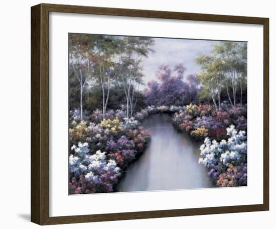 Floral Fantasy-Diane Romanello-Framed Art Print