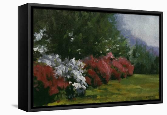 Floral Fantasy-Michael Budden-Framed Premier Image Canvas