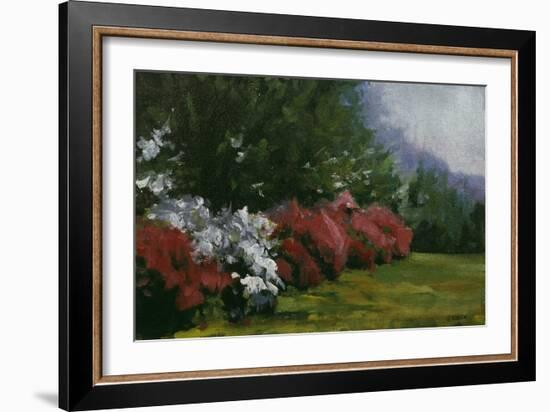 Floral Fantasy-Michael Budden-Framed Giclee Print